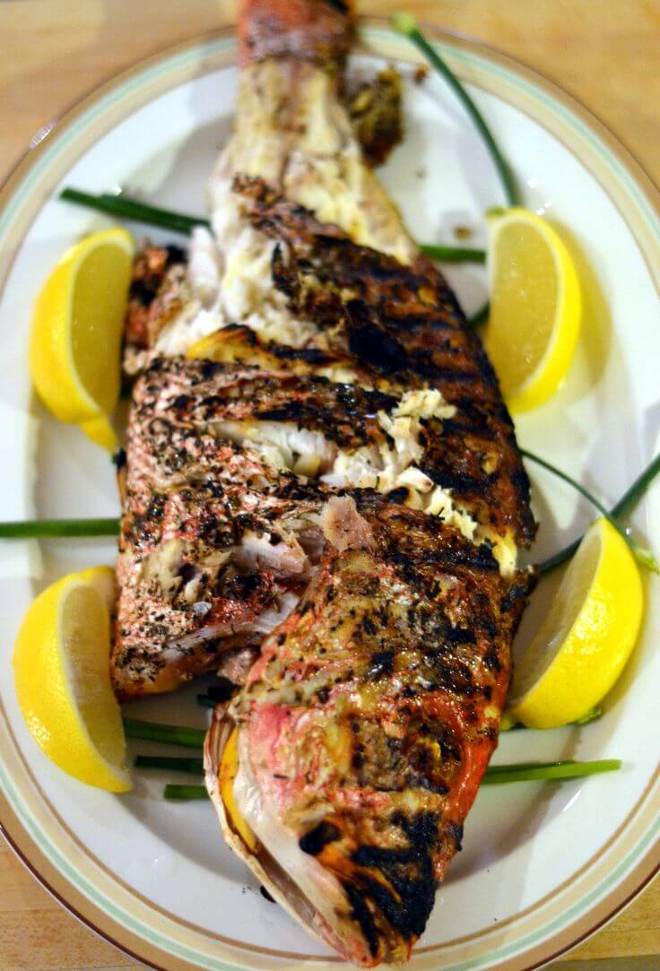 Dennis Fish /Grilled  / Fried 