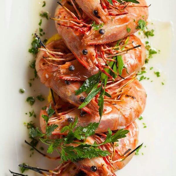 Benet Shrimp