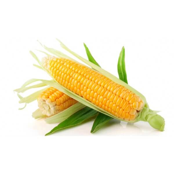 Corn Doug
