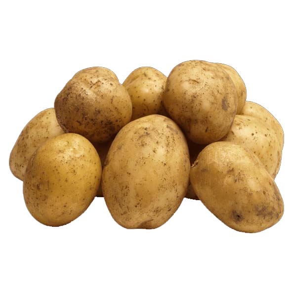 بطاطا شوال 