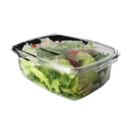 Small Salad Box