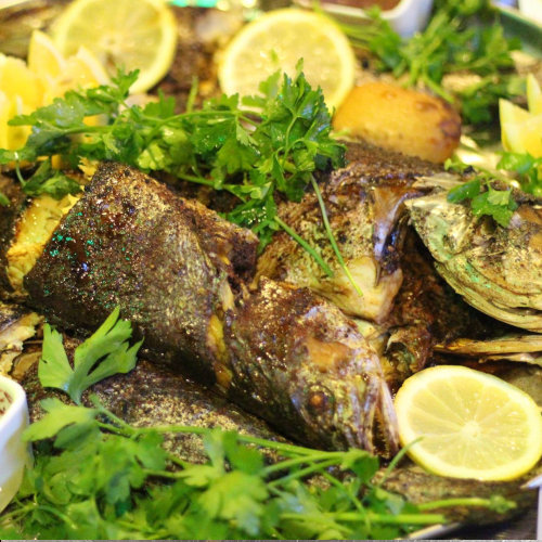 Grilled dennis fish